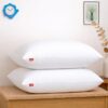 pillow