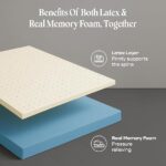SleepyCat Latex Mattress - Image 2