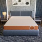 SleepyCat Latex Mattress - Image 3