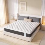 Florance Premium Flip Dual