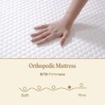 SleepyCat Latex Mattress - Image 5